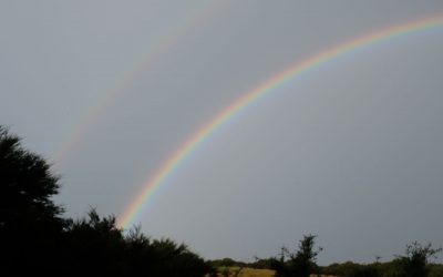 Heartbreak & Wholeness