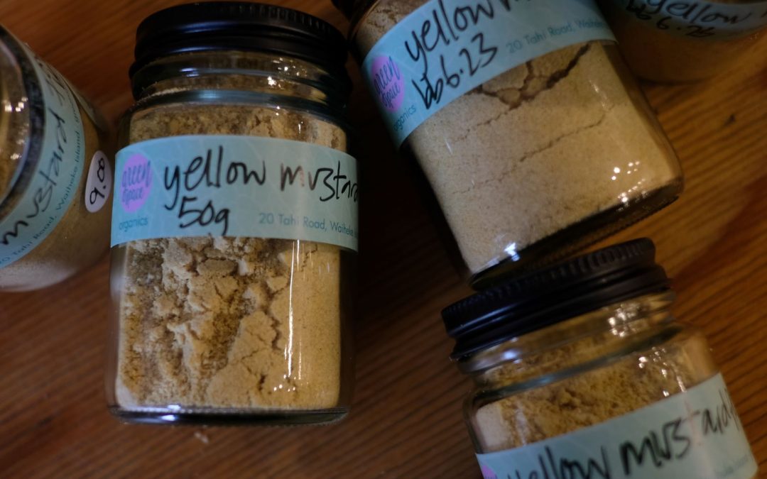 Yellow mustard powder